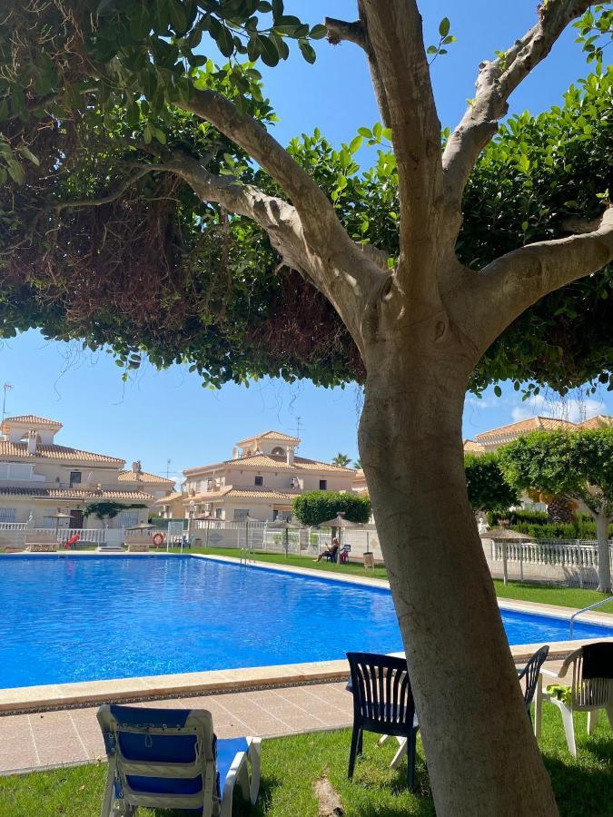 Greensuites La Zenia Torrevieja プラヤ・フラメンカ エクステリア 写真